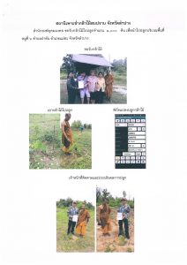 สถานีเพาะชำกล้าไม้สบปราบ จังหวัดลำปาง-แปลงปลูก59 แปลงที่ 5