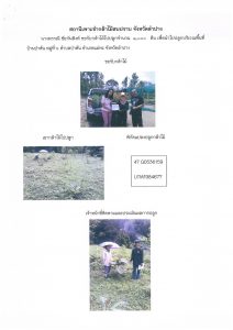 สถานีเพาะชำกล้าไม้สบปราบ จังหวัดลำปาง-แปลงปลูก59 แปลงที่ 6