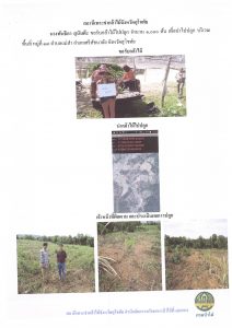 แปลงปลูกต้นไม้ของผู้ขอรับกล้าไม้-แปลงที่ 1