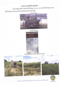 แปลงปลูกต้นไม้ของผู้ขอรับกล้าไม้-แปลงที่ 2