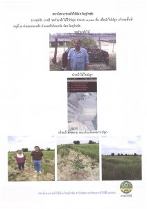 แปลงปลูกต้นไม้ของผู้ขอรับกล้าไม้-แปลงที่ 3