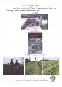 แปลงปลูกต้นไม้ของผู้ขอรับกล้าไม้-แปลงที่ 4