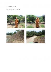 สถานีเพาะชำกล้าไม้หล่มสัก จังหวัดพิษณุโลก-แปลงปลูกต้นไม้59 แปลงที่ 2