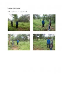 สถานีเพาะชำกล้าไม้หล่มสัก จังหวัดพิษณุโลก-แปลงปลูกต้นไม้59 แปลงที่ 6