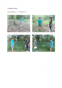 สถานีเพาะชำกล้าไม้หล่มสัก จังหวัดพิษณุโลก-แปลงปลูกต้นไม้59 แปลงที่ 8