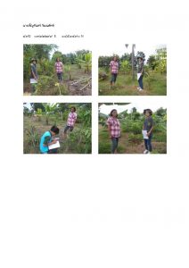 สถานีเพาะชำกล้าไม้หล่มสัก จังหวัดพิษณุโลก-แปลงปลูกต้นไม้59 แปลงที่ 9