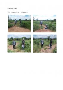 สถานีเพาะชำกล้าไม้หล่มสัก จังหวัดพิษณุโลก-แปลงปลูกต้นไม้59 แปลงที่ 13