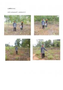 สถานีเพาะชำกล้าไม้หล่มสัก จังหวัดพิษณุโลก-แปลงปลูกต้นไม้59 แปลงที่ 16