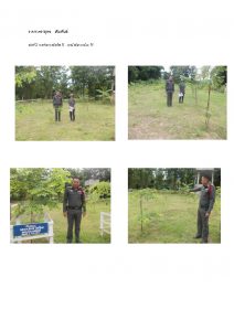 สถานีเพาะชำกล้าไม้หล่มสัก จังหวัดพิษณุโลก-แปลงปลูกต้นไม้59 แปลงที่ 18