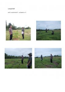 สถานีเพาะชำกล้าไม้หล่มสัก จังหวัดพิษณุโลก-แปลงปลูกต้นไม้59 แปลงที่ 20