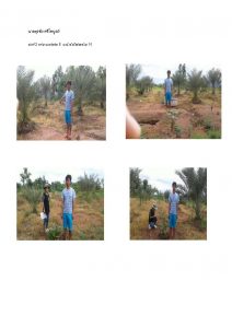 สถานีเพาะชำกล้าไม้หล่มสัก จังหวัดพิษณุโลก-แปลงปลูกต้นไม้59 แปลงที่ 21