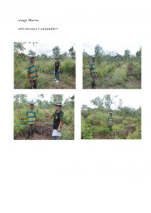 สถานีเพาะชำกล้าไม้หล่มสัก จังหวัดพิษณุโลก-แปลงปลูกต้นไม้59 แปลงที่ 23