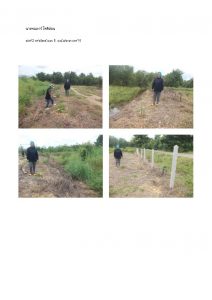 สถานีเพาะชำกล้าไม้หล่มสัก จังหวัดพิษณุโลก-แปลงปลูกต้นไม้59 แปลงที่ 26