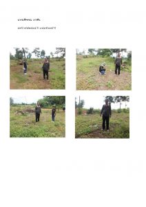 สถานีเพาะชำกล้าไม้หล่มสัก จังหวัดพิษณุโลก-แปลงปลูกต้นไม้59 แปลงที่ 27