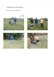 สถานีเพาะชำกล้าไม้หล่มสัก จังหวัดพิษณุโลก-แปลงปลูกต้นไม้59 แปลงที่ 31