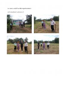 สถานีเพาะชำกล้าไม้หล่มสัก จังหวัดพิษณุโลก-แปลงปลูกต้นไม้59 แปลงที่ 32