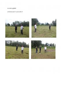 สถานีเพาะชำกล้าไม้หล่มสัก จังหวัดพิษณุโลก-แปลงปลูกต้นไม้59 แปลงที่ 33