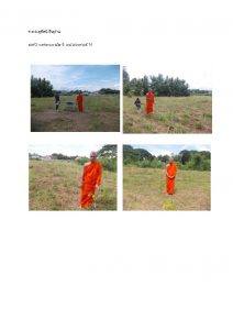 สถานีเพาะชำกล้าไม้หล่มสัก จังหวัดพิษณุโลก-แปลงปลูกต้นไม้59 แปลงที่ 37