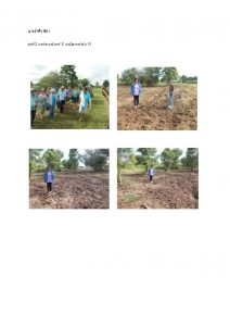 สถานีเพาะชำกล้าไม้หล่มสัก จังหวัดพิษณุโลก-แปลงปลูกต้นไม้59 แปลงที่ 38