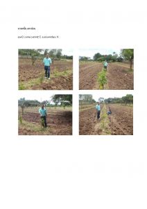 สถานีเพาะชำกล้าไม้หล่มสัก จังหวัดพิษณุโลก-แปลงปลูกต้นไม้59 แปลงที่ 39