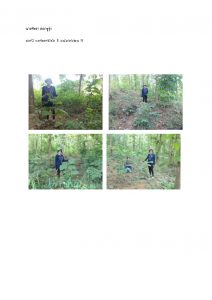 สถานีเพาะชำกล้าไม้หล่มสัก จังหวัดพิษณุโลก-แปลงปลูกต้นไม้59 แปลงที่ 41