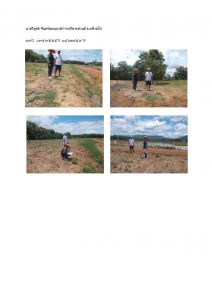 สถานีเพาะชำกล้าไม้หล่มสัก จังหวัดพิษณุโลก-แปลงปลูกต้นไม้59 แปลงที่ 42