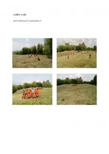 สถานีเพาะชำกล้าไม้หล่มสัก จังหวัดพิษณุโลก-แปลงปลูกต้นไม้59 แปลงที่ 43