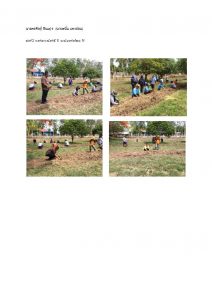 สถานีเพาะชำกล้าไม้หล่มสัก จังหวัดพิษณุโลก-แปลงปลูกต้นไม้59 แปลงที่ 44