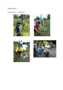 สถานีเพาะชำกล้าไม้หล่มสัก จังหวัดพิษณุโลก-แปลงปลูกต้นไม้59 แปลงที่ 45