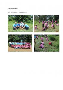 สถานีเพาะชำกล้าไม้หล่มสัก จังหวัดพิษณุโลก-แปลงปลูกต้นไม้59 แปลงที่ 47