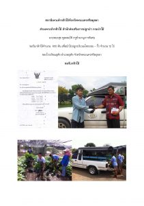 สถานีเพาะชำกล้าไม้จังหวัดพระนครศรีอยุธยา-แปลงปลูกต้นไม้59 แปลงที่ 1 (ภาพที่ 1)