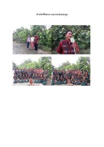 สถานีเพาะชำกล้าไม้จังหวัดพระนครศรีอยุธยา-แปลงปลูกต้นไม้59 แปลงที่ 1 (ภาพที่ 4)