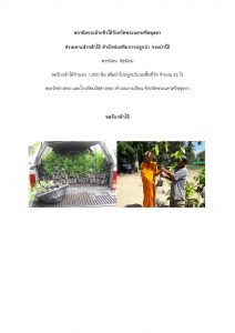 สถานีเพาะชำกล้าไม้จังหวัดพระนครศรีอยุธยา-แปลงปลูกต้นไม้59 แปลงที่ 2(ภาพที่ 1)