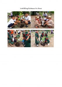 สถานีเพาะชำกล้าไม้จังหวัดพระนครศรีอยุธยา-แปลงปลูกต้นไม้59 แปลงที่ 2 (ภาพที่ 2)