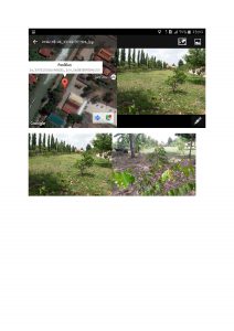 สถานีเพาะชำกล้าไม้จังหวัดพระนครศรีอยุธยา-แปลงปลูกต้นไม้59 แปลงที่ 2 (ภาพที่ 4)