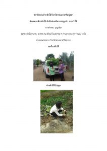 สถานีเพาะชำกล้าไม้จังหวัดพระนครศรีอยุธยา-แปลงปลูกต้นไม้59 แปลงที่ 3 (ภาพที่ 1)