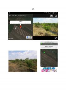 สถานีเพาะชำกล้าไม้จังหวัดพระนครศรีอยุธยา-แปลงปลูกต้นไม้59 แปลงที่ 3 (ภาพที่ 2)