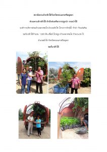 สถานีเพาะชำกล้าไม้จังหวัดพระนครศรีอยุธยา-แปลงปลูกต้นไม้59 แปลงที่ 4 (ภาพที่ 1)