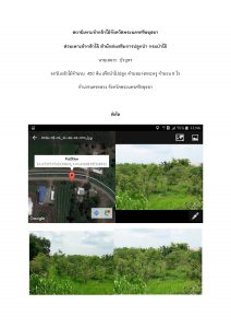 สถานีเพาะชำกล้าไม้จังหวัดพระนครศรีอยุธยา-แปลงปลูกต้นไม้59 แปลงที่ 5