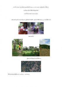 สถานีเพาะชำกล้าไม้จังหวัดอุตรดิตถ์-แปลงปลูก59 แปลงที่ 1