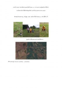 สถานีเพาะชำกล้าไม้จังหวัดอุตรดิตถ์-แปลงปลูก59 แปลงที่ 2