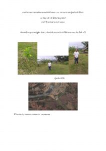 สถานีเพาะชำกล้าไม้จังหวัดอุตรดิตถ์-แปลงปลูก59 แปลงที่ 3