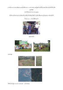 สถานีเพาะชำกล้าไม้จังหวัดอุตรดิตถ์-แปลงปลูก59 แปลงที่ 4