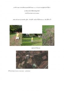 สถานีเพาะชำกล้าไม้จังหวัดอุตรดิตถ์-แปลงปลูก59 แปลงที่ 6