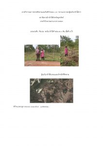 สถานีเพาะชำกล้าไม้จังหวัดอุตรดิตถ์-แปลงปลูก59 แปลงที่ 8