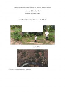 สถานีเพาะชำกล้าไม้จังหวัดอุตรดิตถ์-แปลงปลูก59 แปลงที่ 9