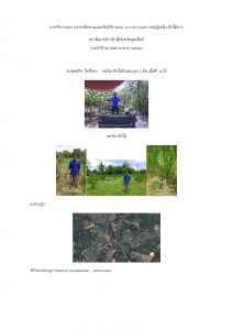 สถานีเพาะชำกล้าไม้จังหวัดอุตรดิตถ์-แปลงปลูก59 แปลงที่ 10