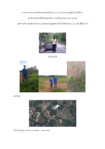 สถานีเพาะชำกล้าไม้จังหวัดอุตรดิตถ์-แปลงปลูก59 แปลงที่ 12