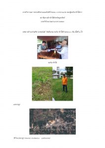 สถานีเพาะชำกล้าไม้จังหวัดอุตรดิตถ์-แปลงปลูก59 แปลงที่ 15