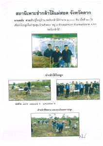 แปลงปลูกต้นไม้ของผู้ขอรับกล้าไม้-แปลงที่ 1